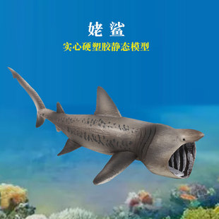 姥鲨玩具仿真海洋动物模型实心硬塑胶大鲨鱼巨齿鲨大白鲨认知摆件
