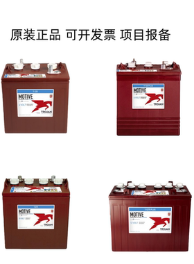 Trojian邱健蓄电池T-1275 T-105 T-875 T-145 T-125 J305P L16H