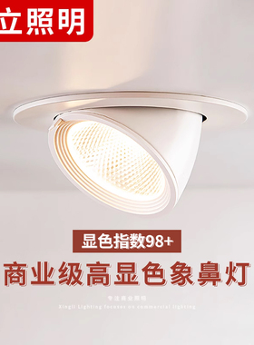 高显色防眩服装店led射灯COB象鼻灯无频闪嵌入式商用店铺超亮