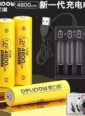 适用于富士S2900HD S3300 S3400 S3250 S3200长焦相机电池+充电器
