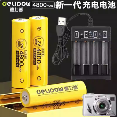 适用于CCD索尼DSC-P32 P93 P73 W1 W5 W7 W17数码相机电池+充电器