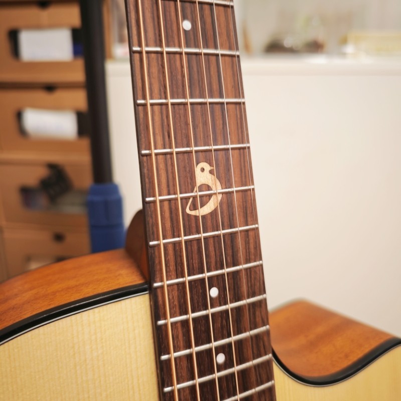 【南音】Dove 信鸽260 220 面单 新手入门民谣吉他 电箱吉他