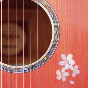 【南音】楚门Trumon落樱系列面单民谣吉他入门进阶送礼情侣款吉他