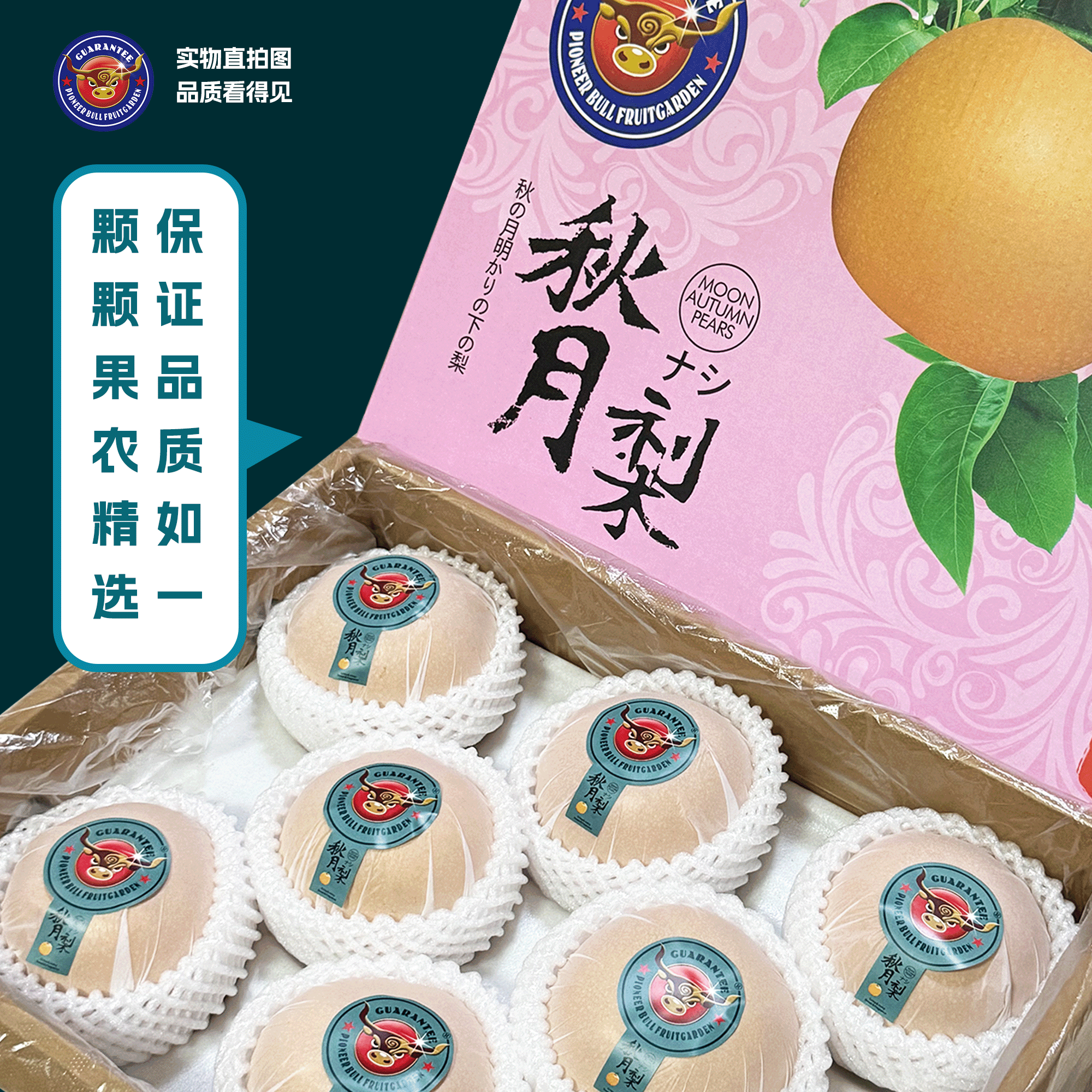 正宗秋月梨高端香脆清甜多汁礼盒装山东莱阳果园新鲜水果产地直达
