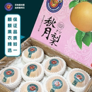 至臻水果秋月梨高端香脆清甜礼盒装 山东莱阳果园新鲜直达