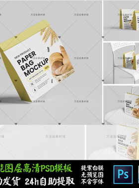 牛皮纸袋包横纵向高级折叠礼物 VI智能贴图提案样机PSD模板 S2500
