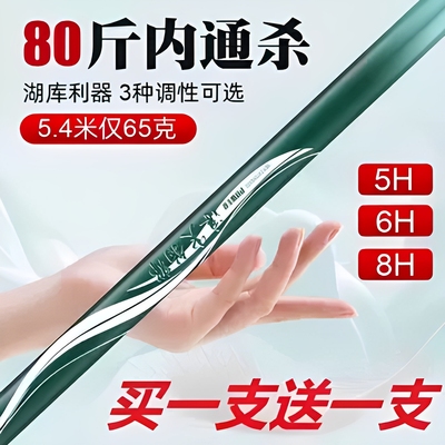 邓刚推荐浪尖钓郎钓鱼竿手杆超轻超硬28调19调台钓竿鲤鱼竿大物竿