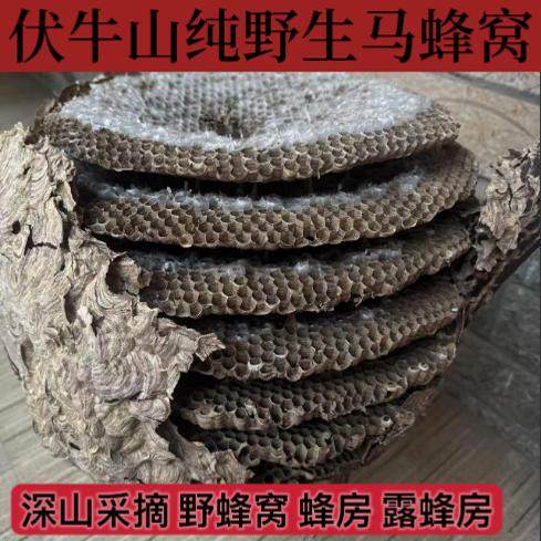 马蜂窝巢煮水牙疼中药材