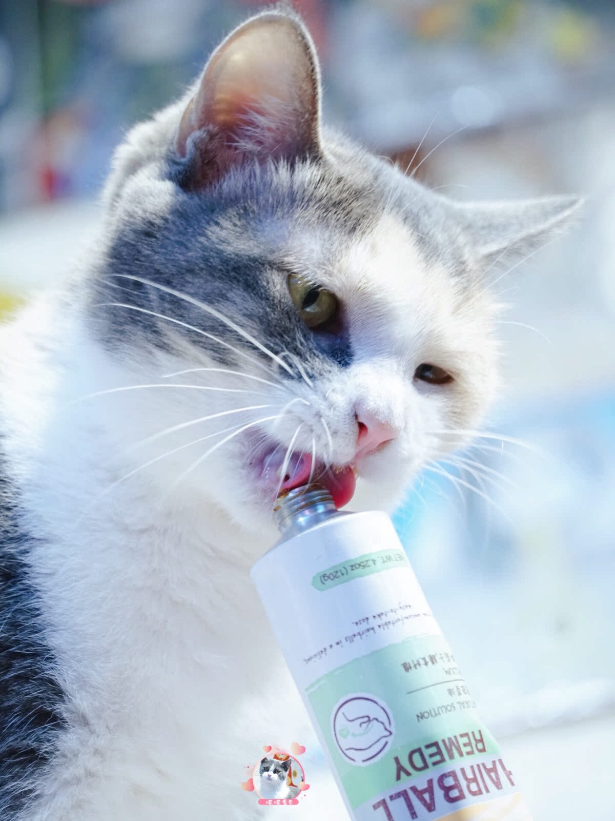 麦德氏in-kat优质高效营养化毛膏宠物猫咪兔子吐毛去毛球膏含猫草