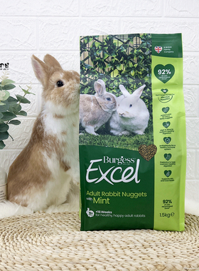 布格斯薄荷成兔粮食英国进口Burgess兔子主饲料益格无糖易胖