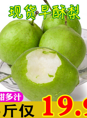 新鲜现摘梨子甘肃高山静宁