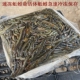 湖北特产生鲜湖北速冻活体青蚯蚓钓黄鳝钓鱼黑蚯蚓特大冰蚯蚓养殖