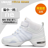 Net-White (эта модель невелика, пожалуйста, выберите № 1 в покупке)