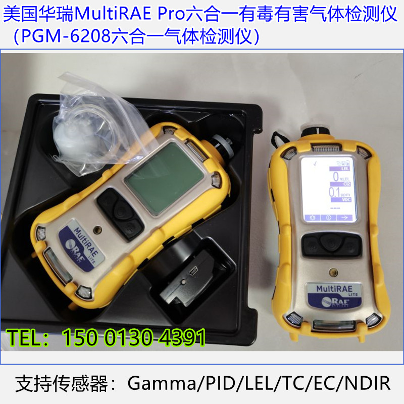 美国华瑞PGM-6208六合一检测仪