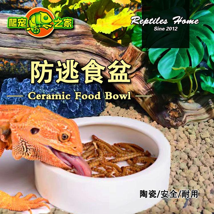 R-Home爬宠防逃逸食盆鬃狮蜥蜴食盆豹纹守宫蛇水盆面包虫陶瓷盆