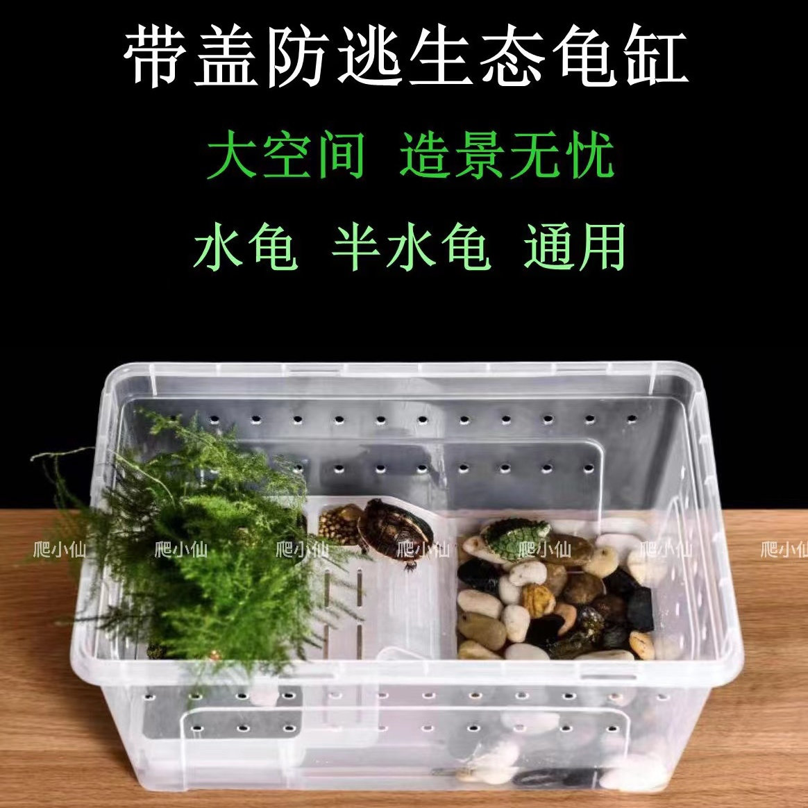 高透小乌龟缸带晒台造景草龟珍珠龟专用缸巴西龟饲养箱带盖生态缸