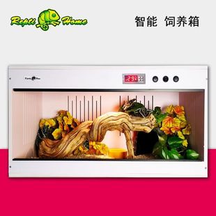 爬宠之家PVC饲养箱鬃狮蜥蜴陆龟保温箱造景芦丁鸡智能守宫恒温箱