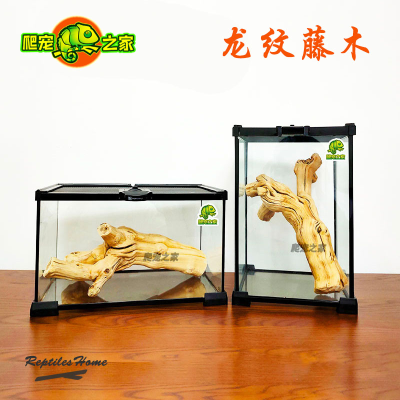蜥蜴攀爬龙纹藤木爬宠之家缸造景