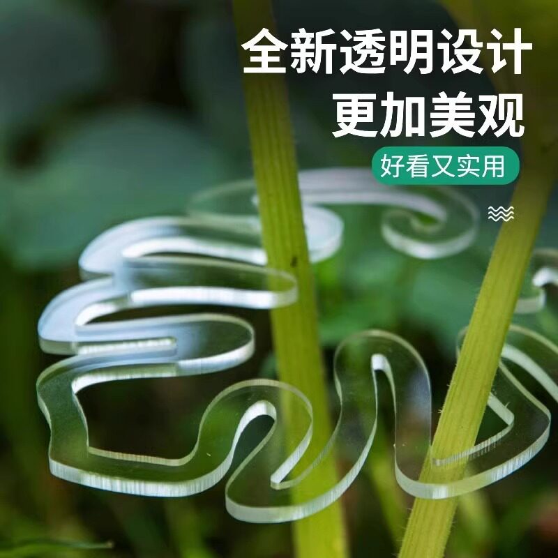 龟背竹支撑杆园艺花卉防倒伏春雨