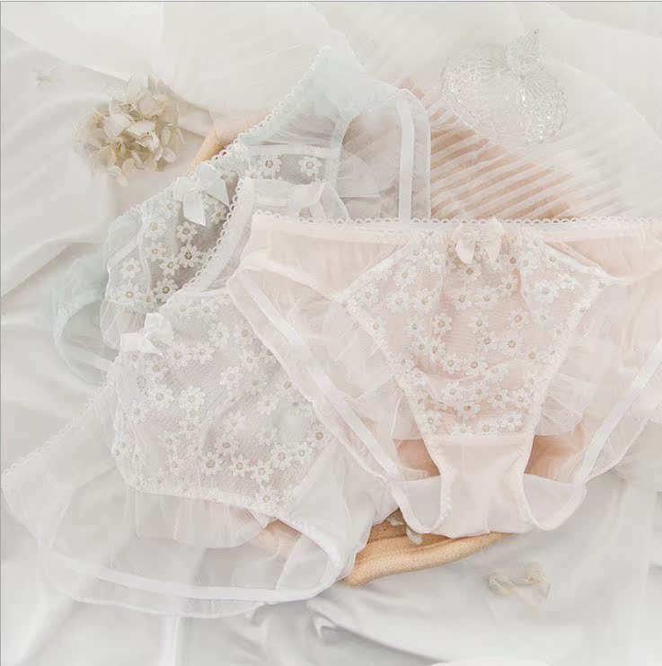 舒适女士低腰网纱刺绣内裤
