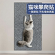 猫抓垫家用耐抓防抓磨家具沙发保护贴可裁剪防猫抓贴防抓墙贴自粘