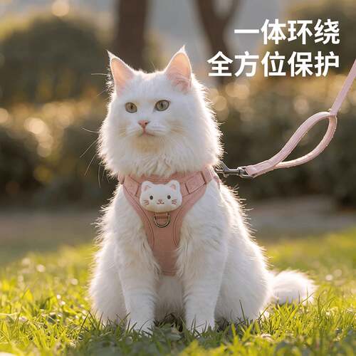 猫咪牵引绳外出防挣脱溜猫绳