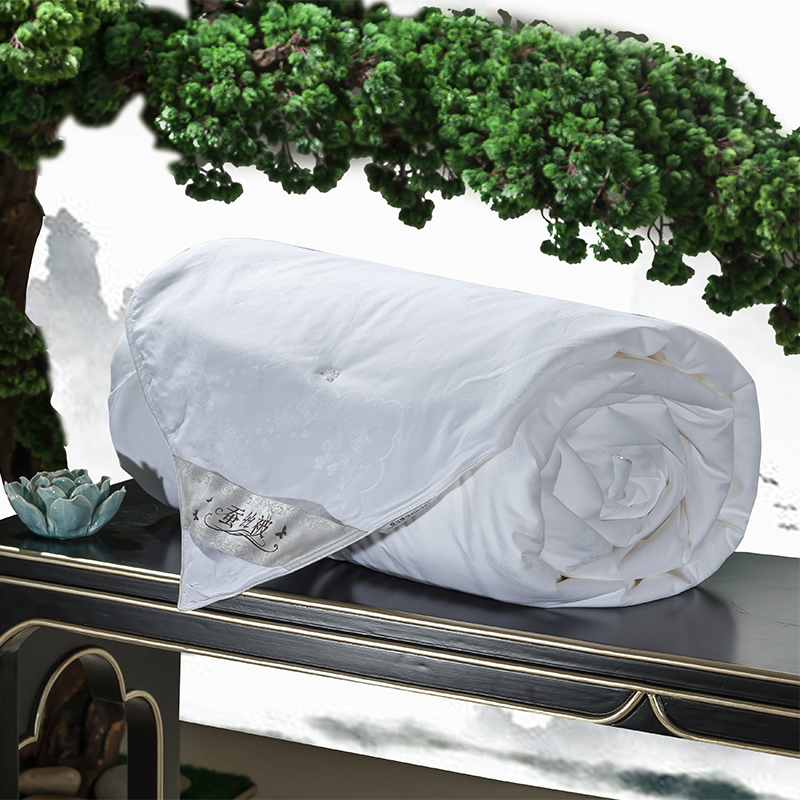 双宫蚕丝被100%桑蚕丝长丝被芯