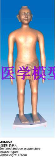 166cm仿古针灸模型ZM3021  仿明代针灸铜人
