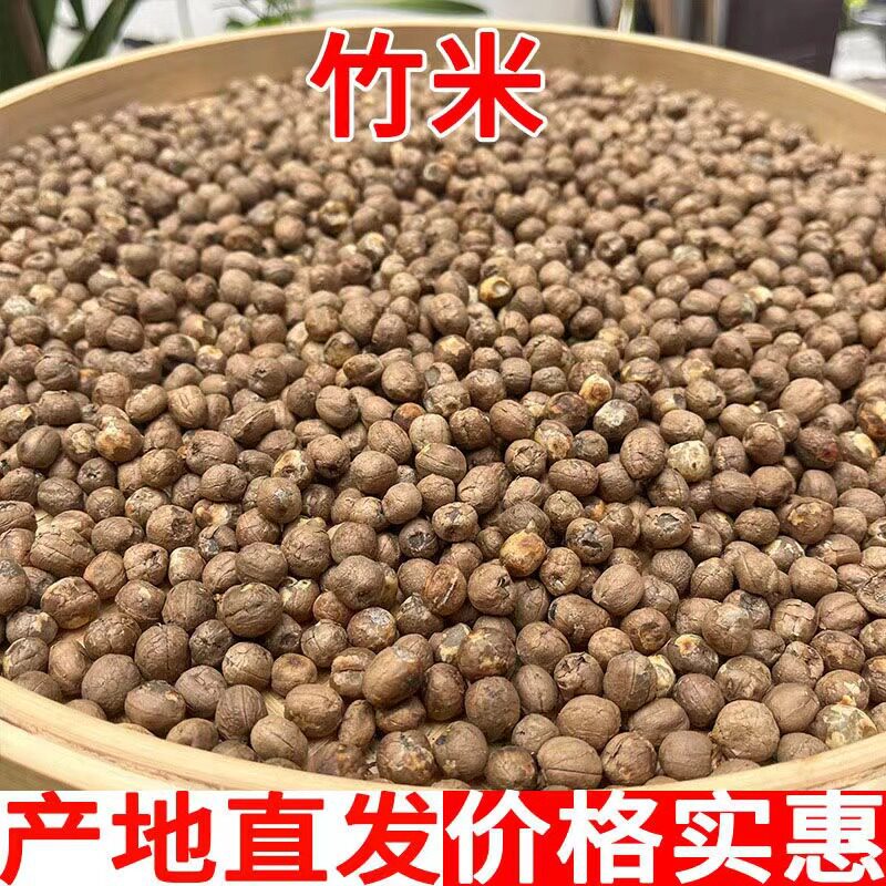 正宗云南竹米天然竹米竹子果实竹米凤凰米自然生长包邮