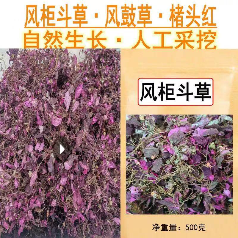 风柜斗草蓝红叶菜酸酸草干货