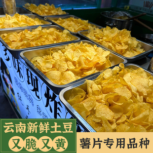 云南合作88号炸薯片专用大土豆50斤新鲜云薯304号洋芋批量发100斤