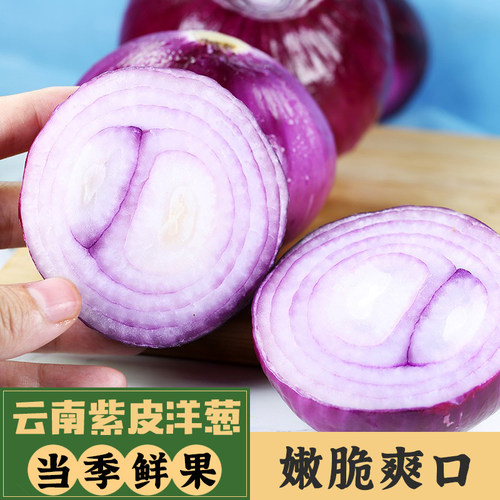 云南紫皮洋葱新鲜5斤水果洋葱圆葱生吃甜味不辣小洋葱头应季蔬菜