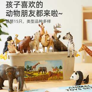 Mideer弥鹿动物模型儿童实心仿真玩具早教套装海洋野生动物园认知