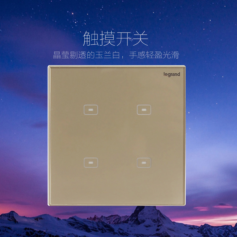 面板开关罗格朗触控开关图片
