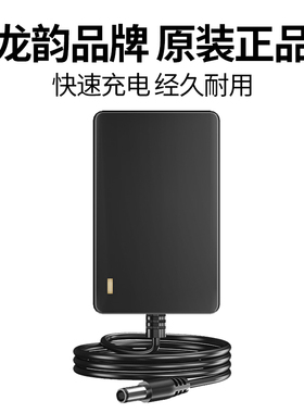 龙韵专用12V锂电手电钻充电器16.8V手枪钻电动螺丝刀充Z电器25V