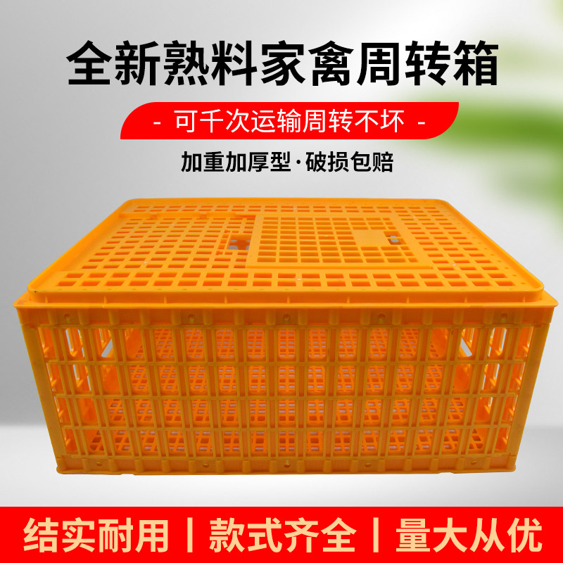 鸡笼运输笼塑料家禽周转箱筐成鸡鸭鹅鸽子笼子家用大号兔笼养殖笼