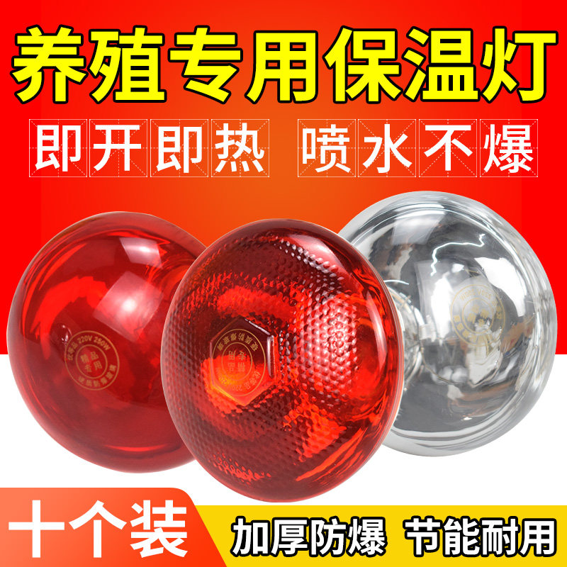 猪用保温灯鸭兽鸡用小鸡育雏加热加温保暖仔猪取暖灯泡烤养殖专用