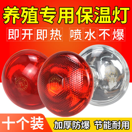 猪用保温灯鸭兽鸡用小鸡