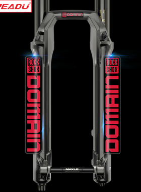 2021rockshox DOMAIN 前叉贴山地自行车贴纸避震贴单车装饰贴防水