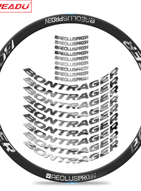 readu棒槌哥Bontrager Aeolus Pro3VTLR碟刹公路车车圈自行车贴纸