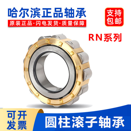 哈尔滨减速机轴承 RN 219 220 222 228 308 309 310 312 313 M