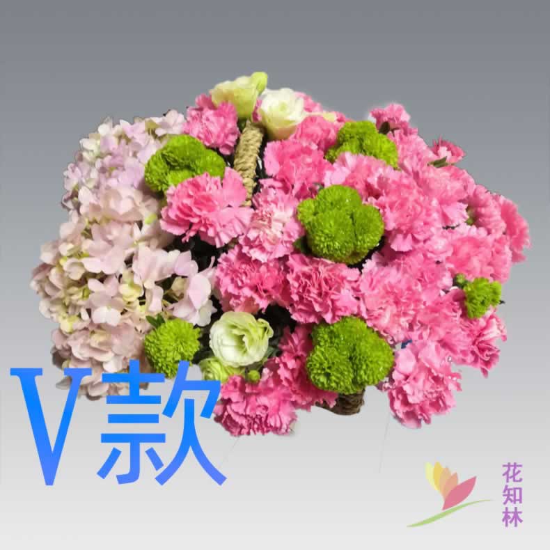 生日贺寿康乃馨云南昭通花店送花绥江县镇雄县彝良县同城鲜花速递