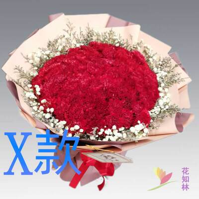 生日康乃馨新疆昌吉花店送花昌吉市阜康呼图壁木垒县同城鲜花速递