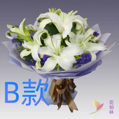 生日求婚白百合浙江杭州花店送花下城区江干区拱墅区同城鲜花快递