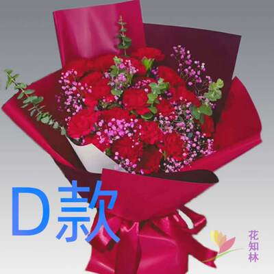 生日祝福探望康乃馨上海花店送花闵行区长宁区普陀区同城鲜花快递