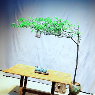 正宗海岛栀子花老桩春花室内网红花茶室四季常青办公室树绿植盆景