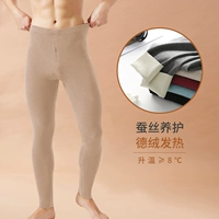 【10% высокое содержание шелковой кожи питательной + немецкая бархатная верблюда】 Silk Light Camel