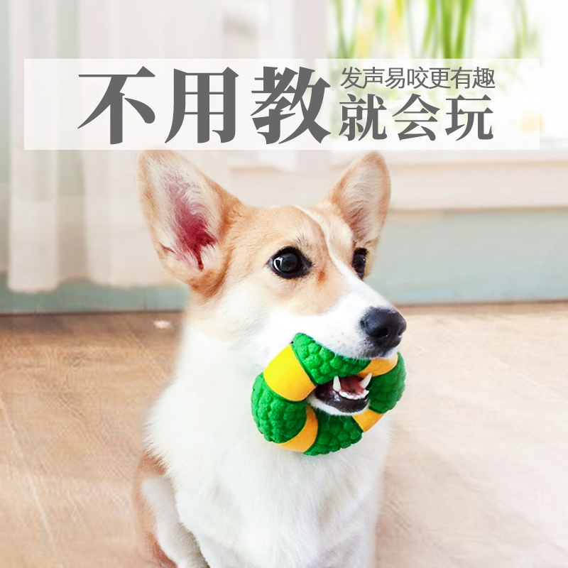 狗狗玩具泰迪柯基耐咬发声磨牙