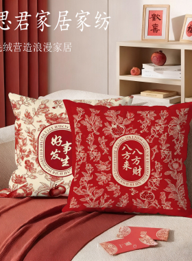 轻奢高级感客厅床沙发抱枕红色结婚喜庆乔迁靠背垫新年房间装饰