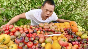 【盲袋】老品种番茄种子约30粒 可以自留种 荒野拾遗录满29包邮